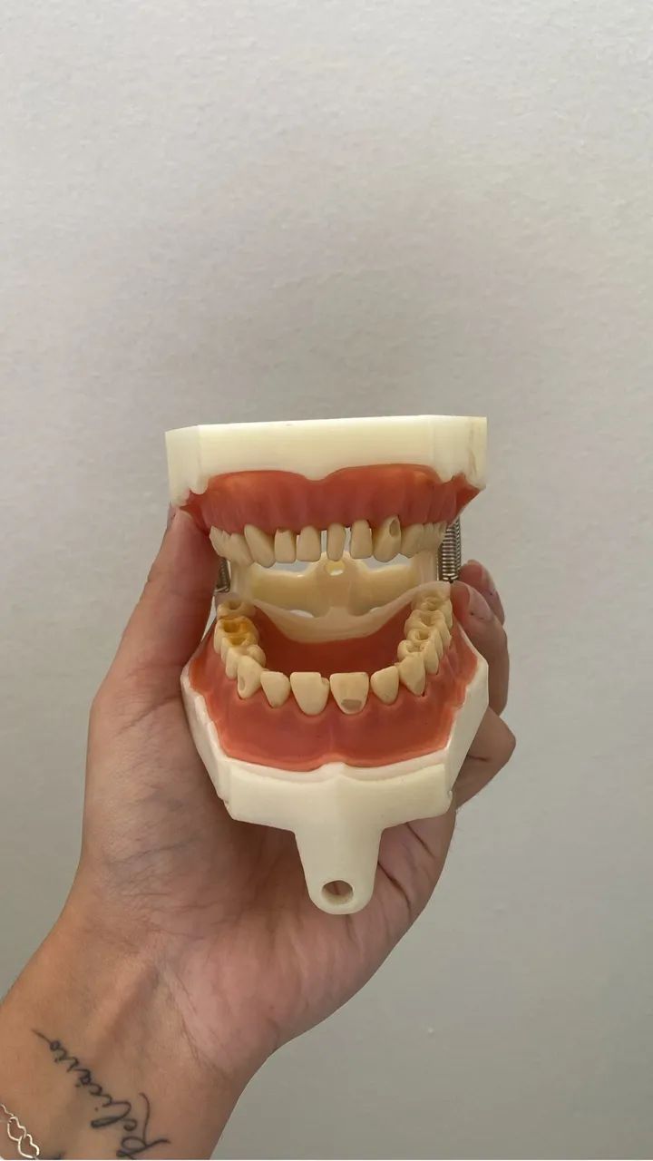Manequim de materiais dentários  - Foto 2