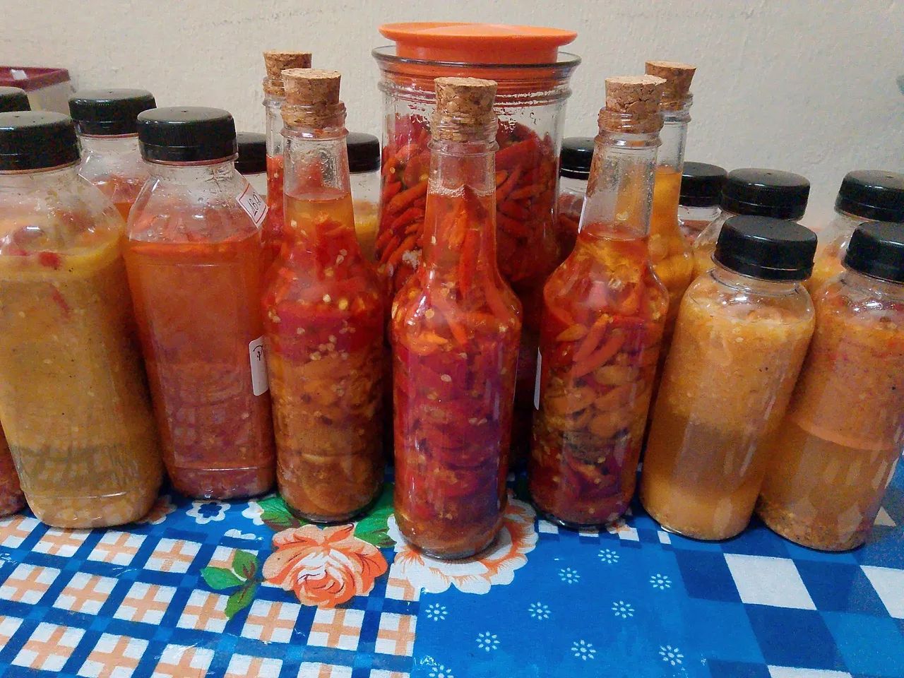 Pimentas caseiras da Rosana