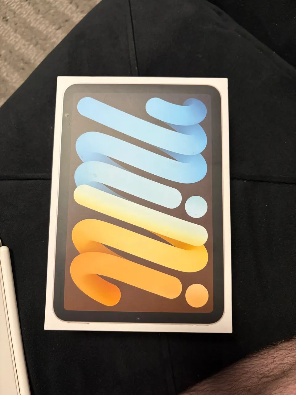 iPad mini 6ª geração