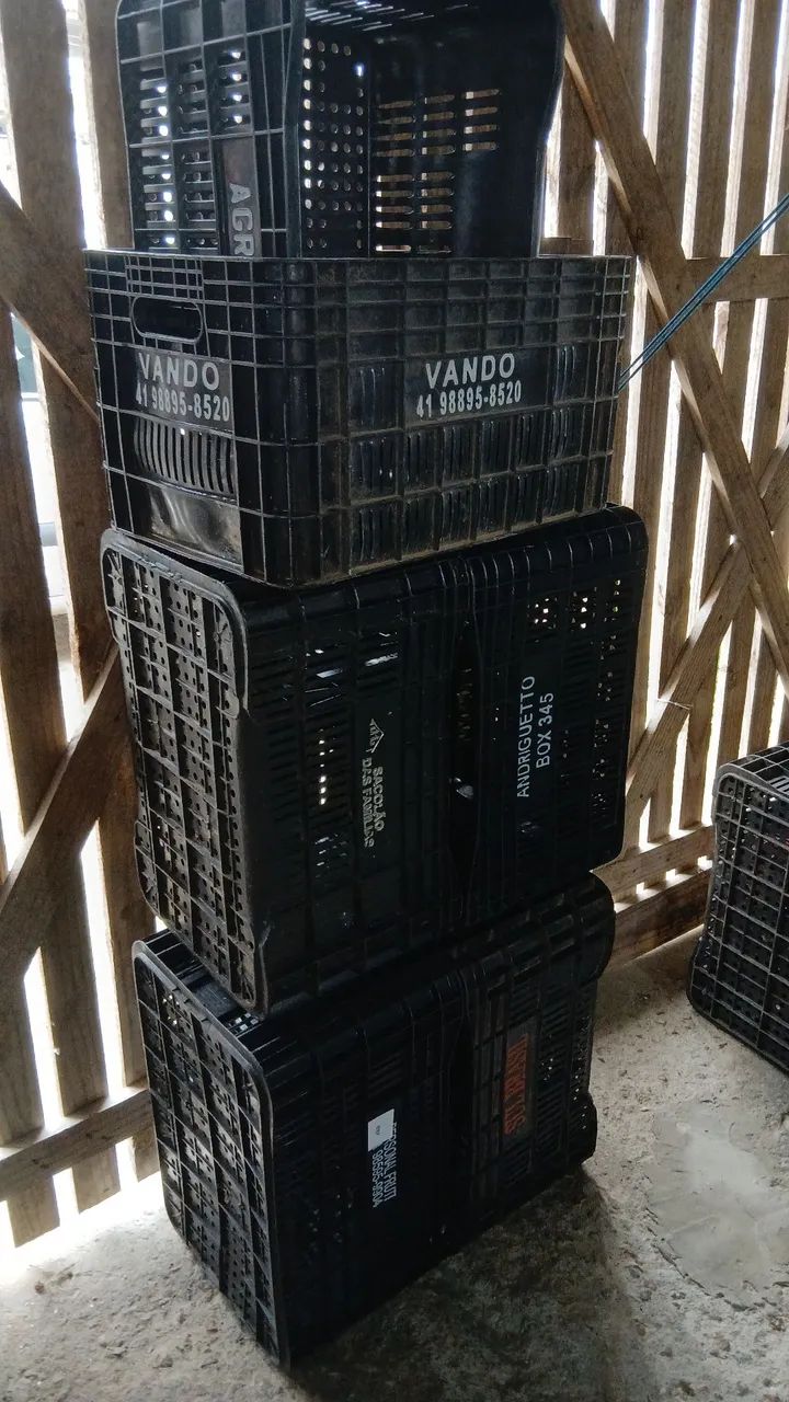 Caixa de mercado  - Foto 3