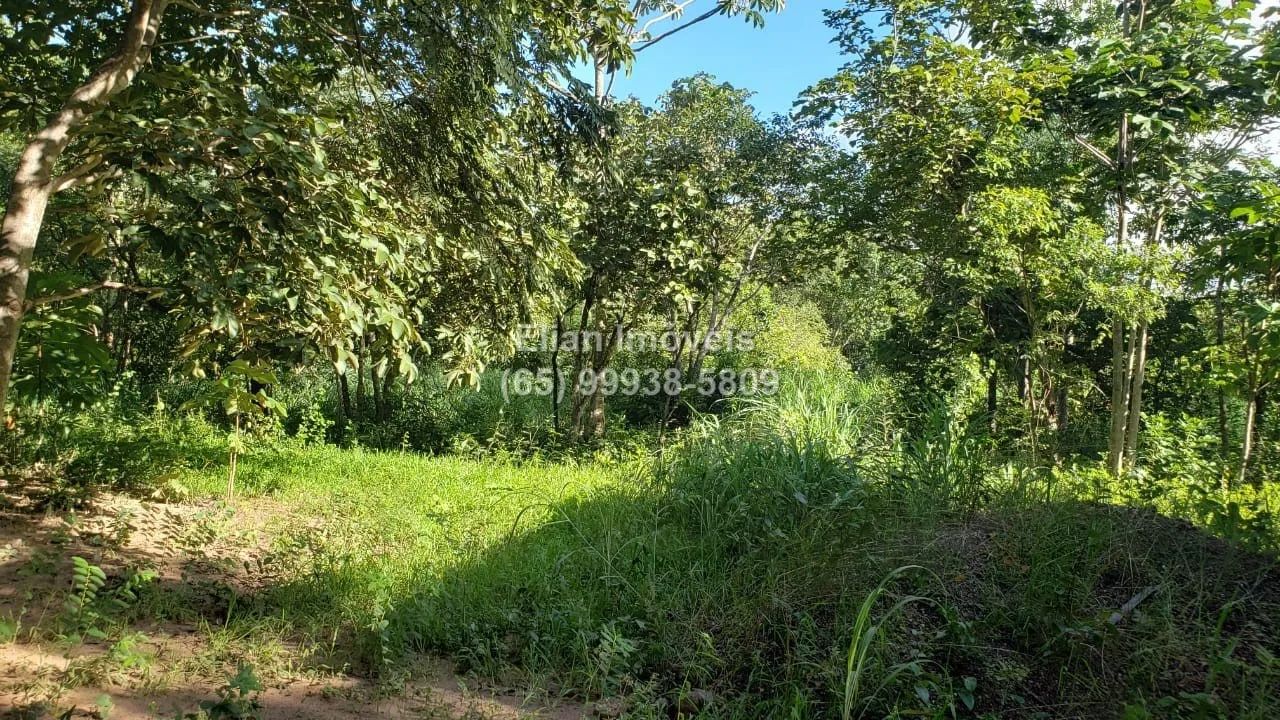 Chácara de 2000m² com casa c/ 01 peça + banheiro - Foto 2