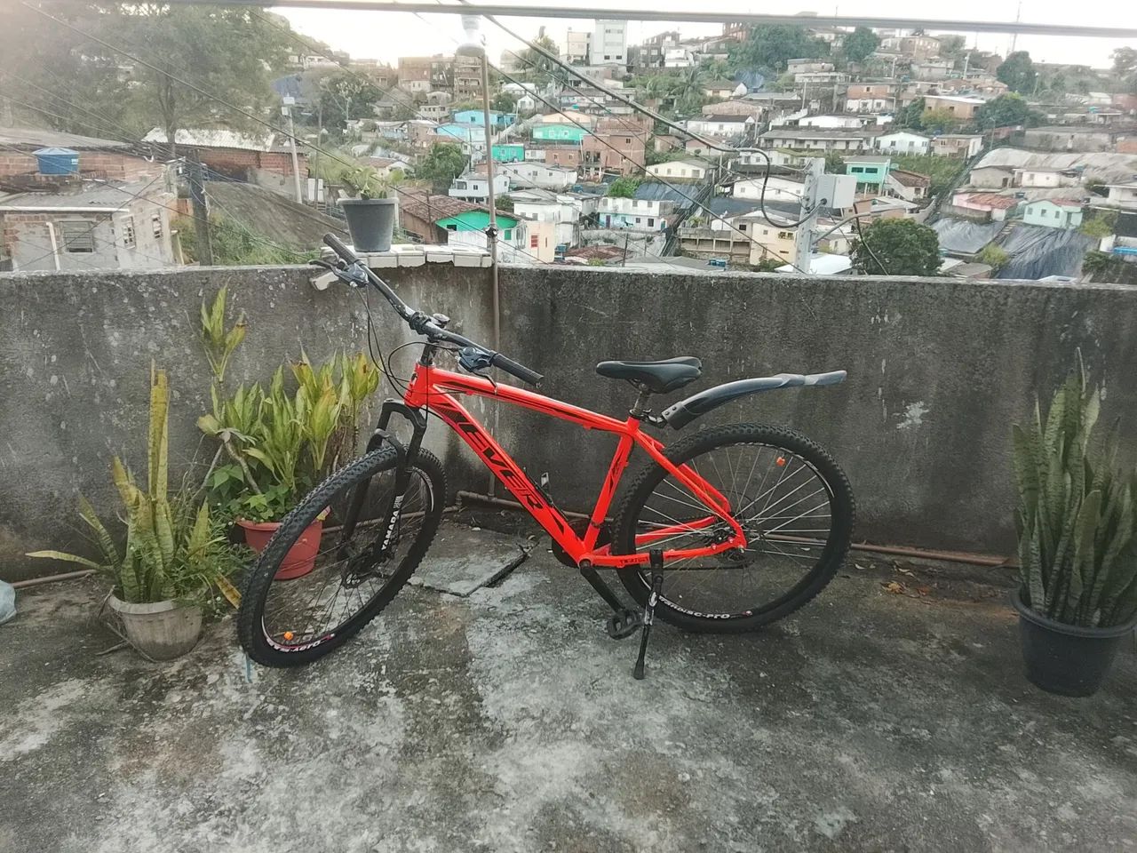 Aro 29 boa