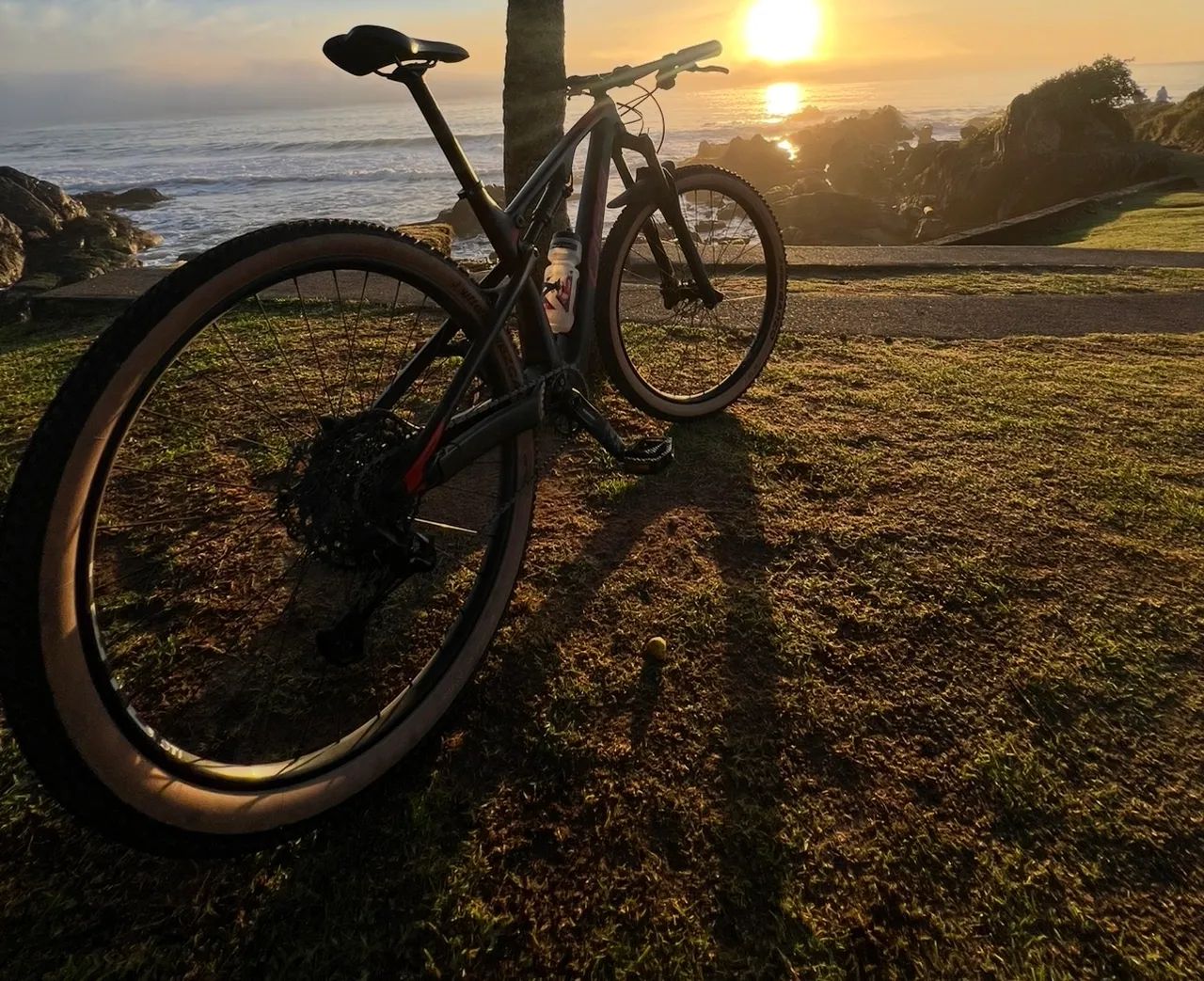 Oggi t20 carbono