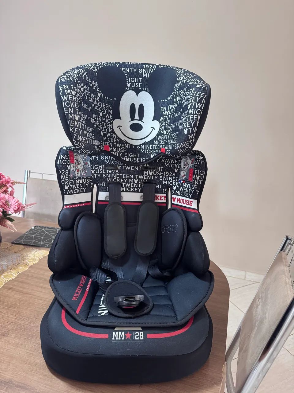 Cadeirinha infantil