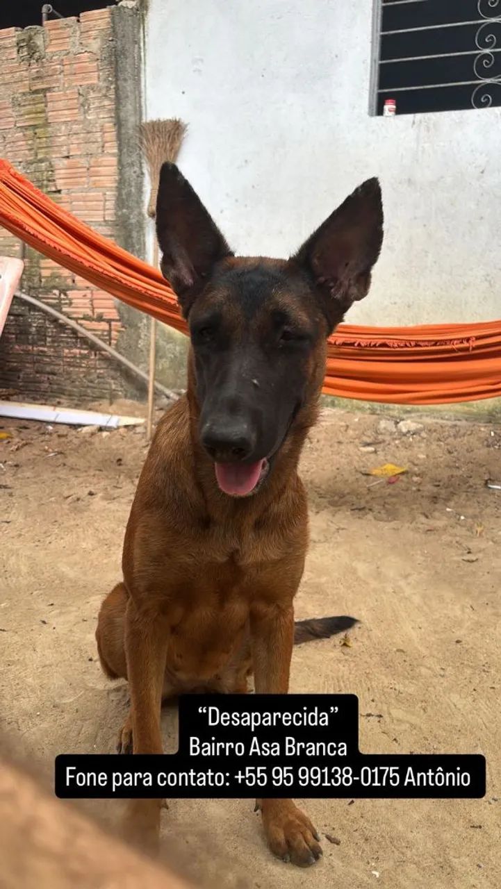 Procura-se  - Foto 3