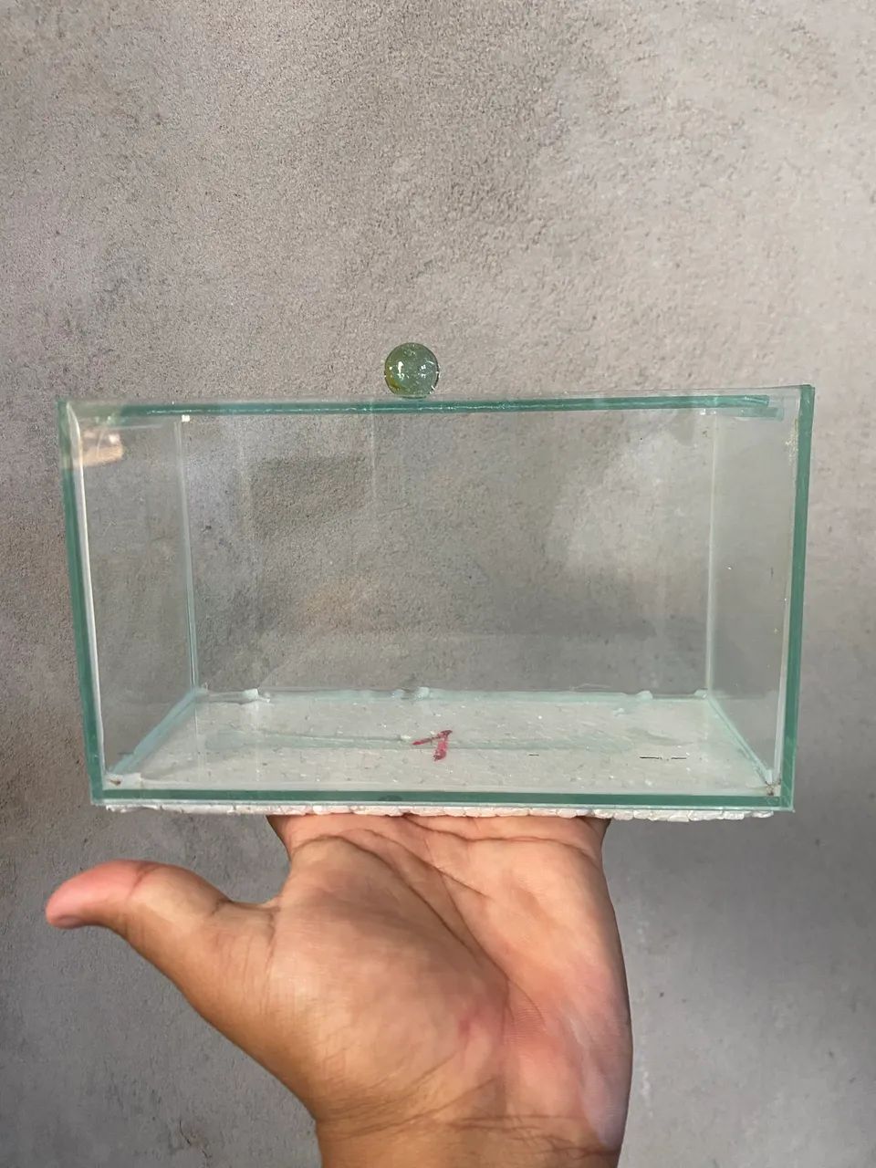 AQUARIO 415075236011714563
