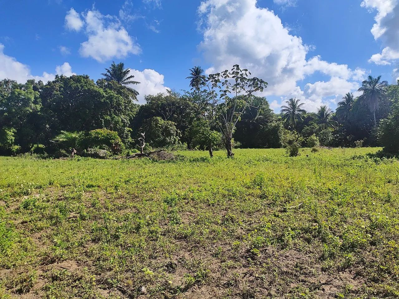 Terreno em ilha de mare - Foto 3