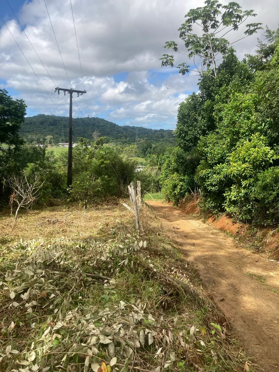 Excelente Sítio na beira da estrada ilhéus Itabuna  - Foto 2