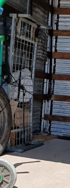 Carrinho para carga 4 rodas - Foto 2