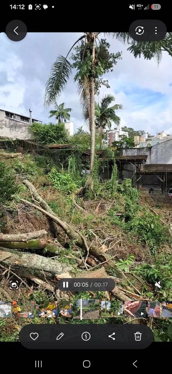 Preciso alguem que trabalhe com roçadeira pago 160 diária.  - Foto 2