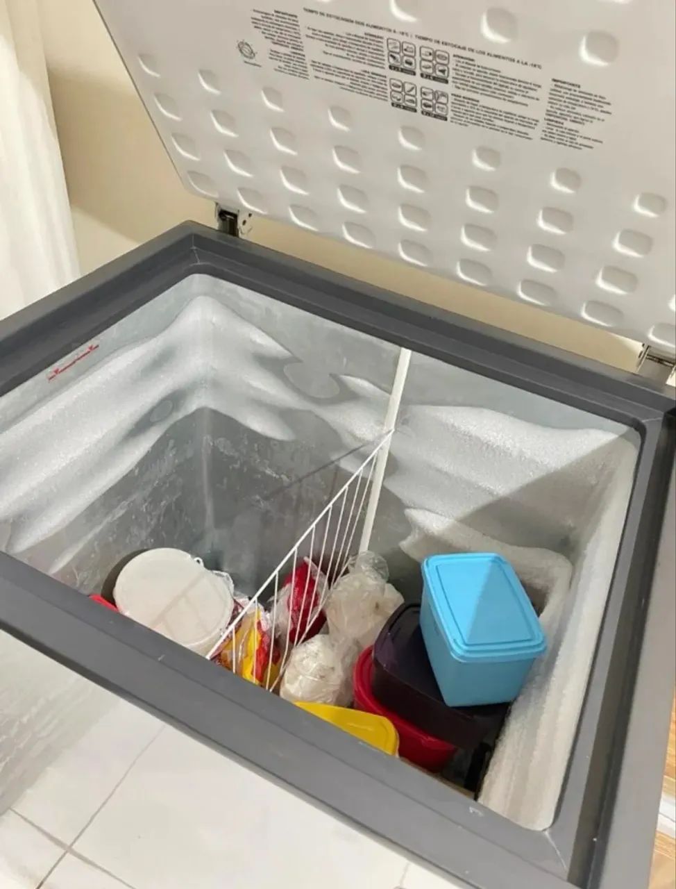 Freezer Horizontal 