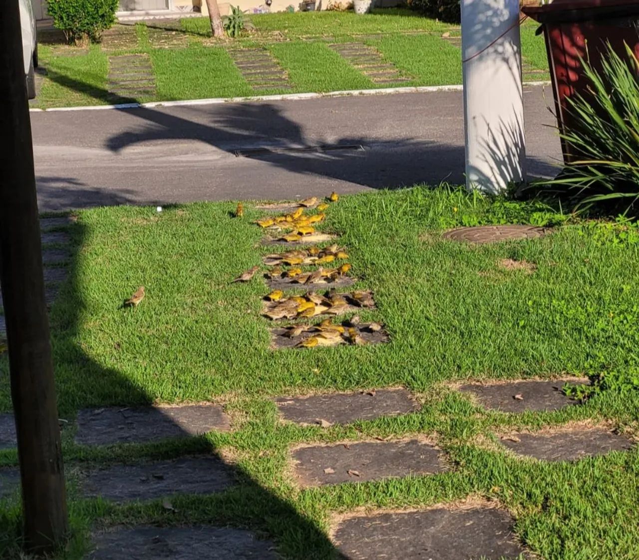 Casa de 3 quartos  - Foto 4