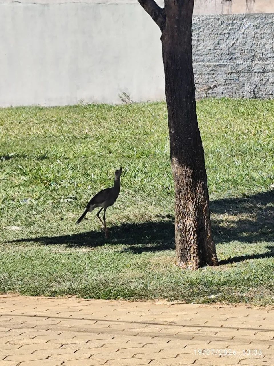 Terreno Porto Maringá condomínio Ipanema  - Foto 5