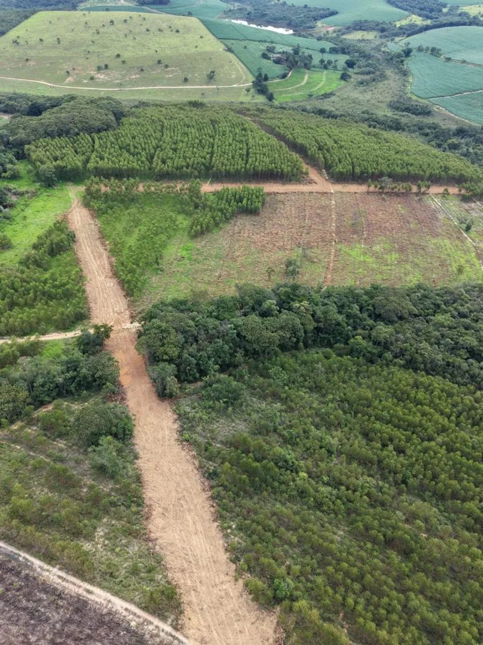 Fazendinhas 20.000m² em Itaguara  - Foto 2
