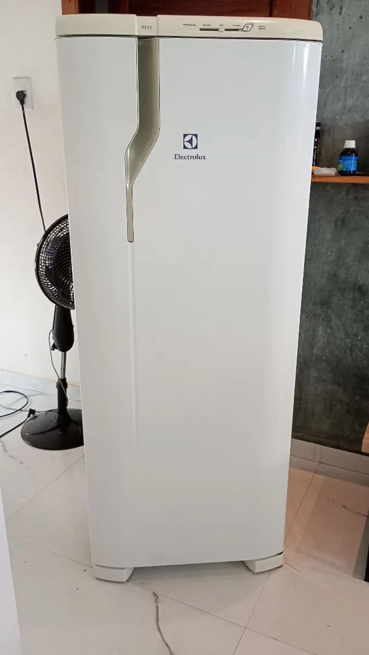 Geladeira Electrolux degelo seco 320 litros 