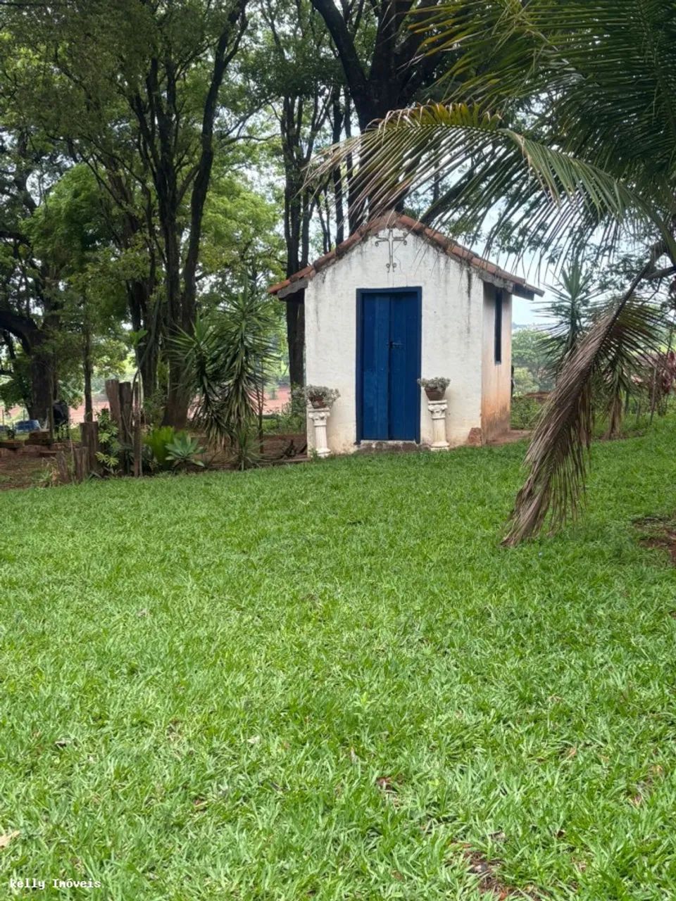 Chácara para Venda em Martinópolis / SP no bairro Rural - Foto 11