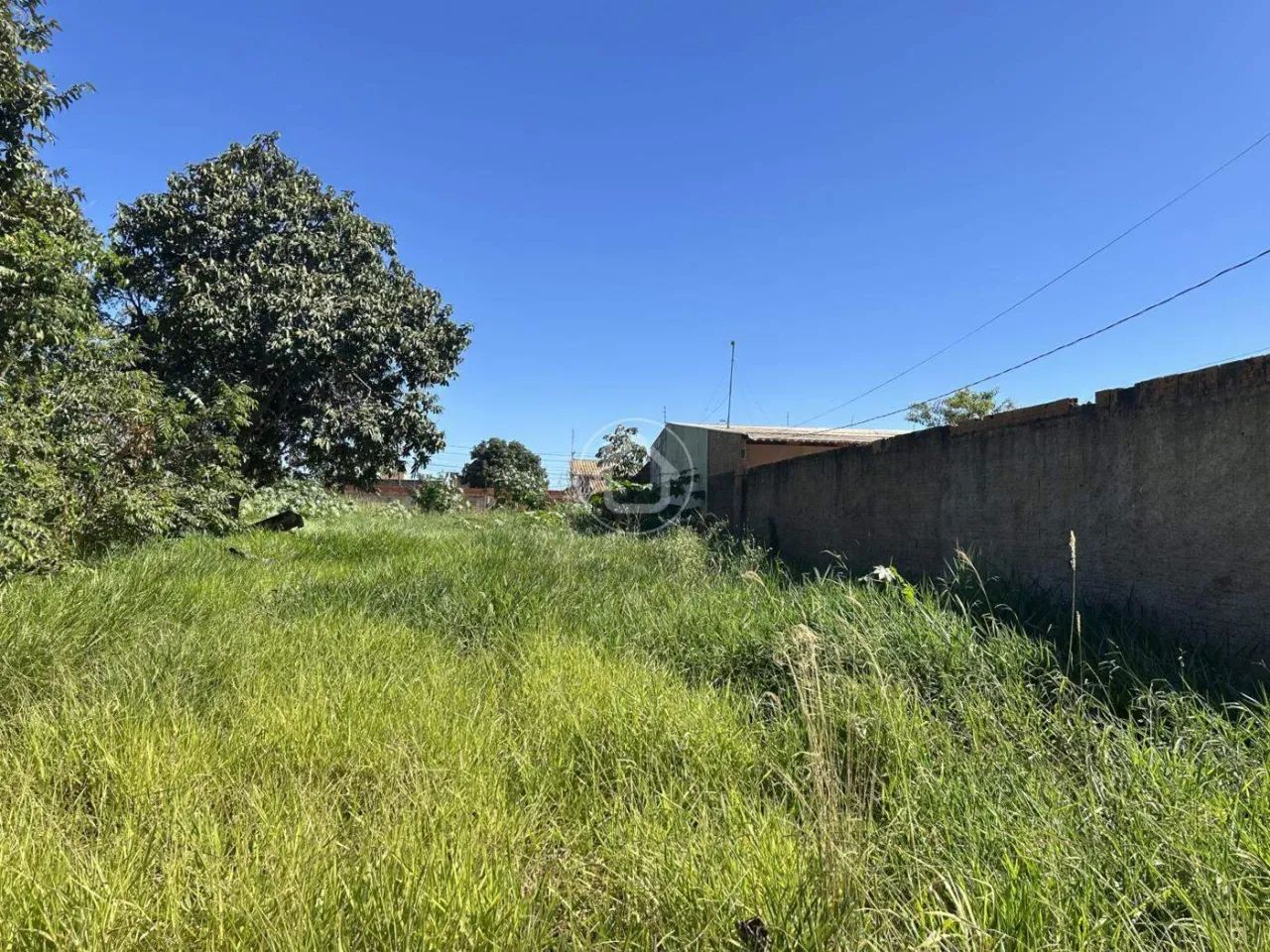 TERRENO PRÓXIMO DO ASFALTO - Foto 5
