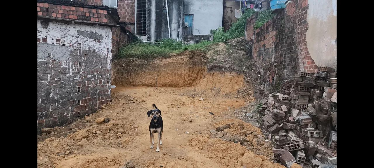 TERRENO NO JORDÃO  - Foto 4