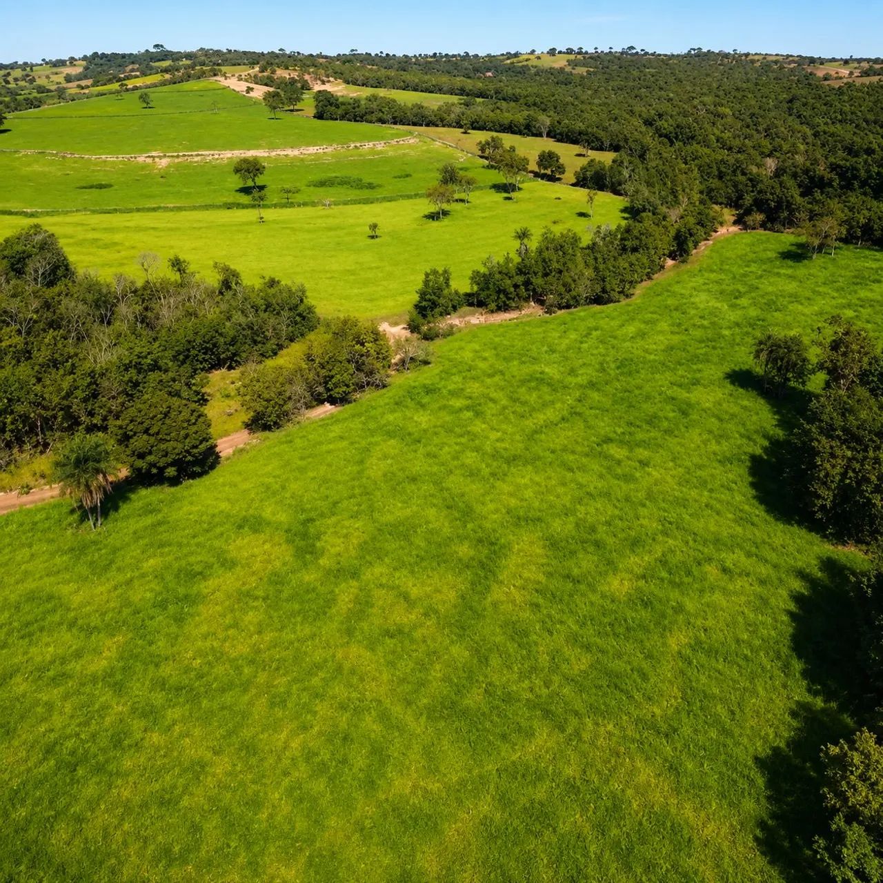 Fazenda Pecuária - Foto 4