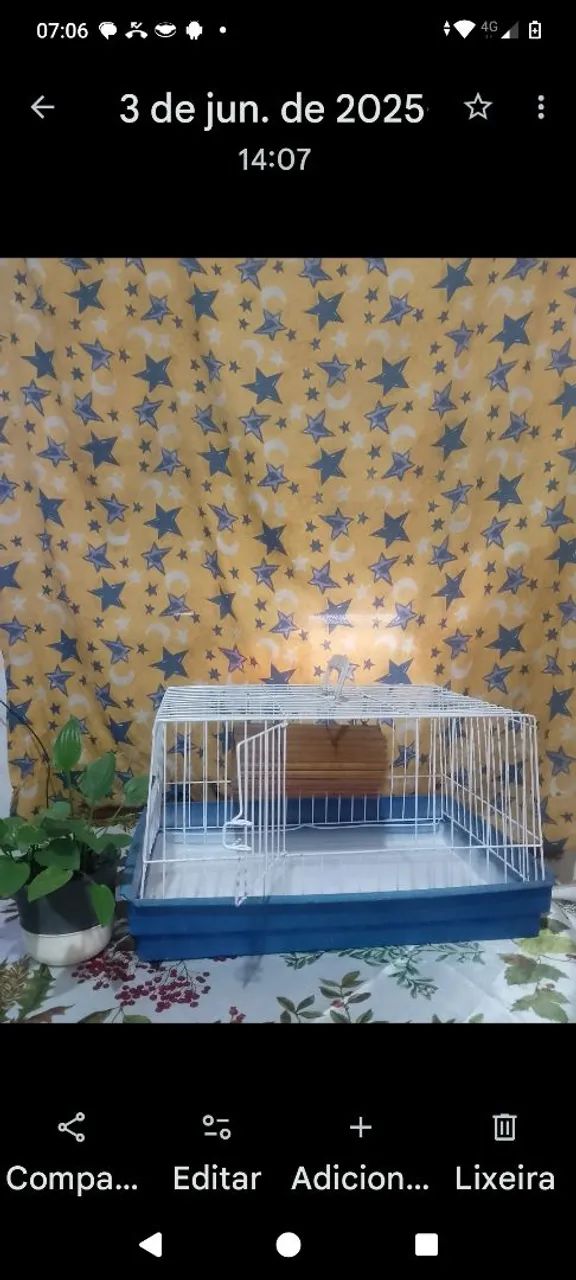 Gaiola De Porquinho Índia em Ótimo estado  - Foto 2