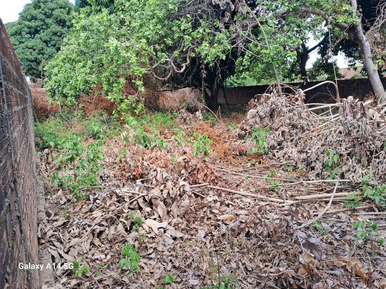 TERRENO PARA VENDA - Foto 4