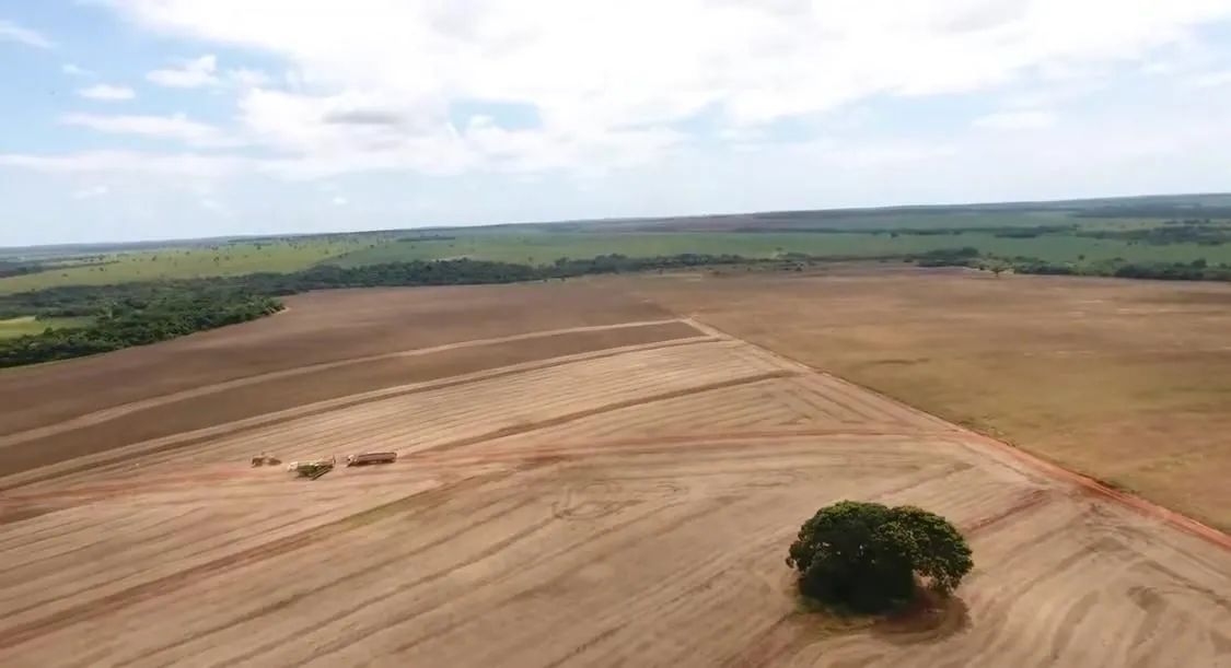 Fazenda de arrendamento Soja, 670 hec em nova alvorada MS.