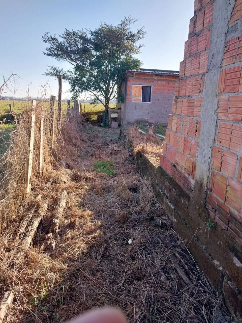Vendo um lote nos fundos  - Foto 3