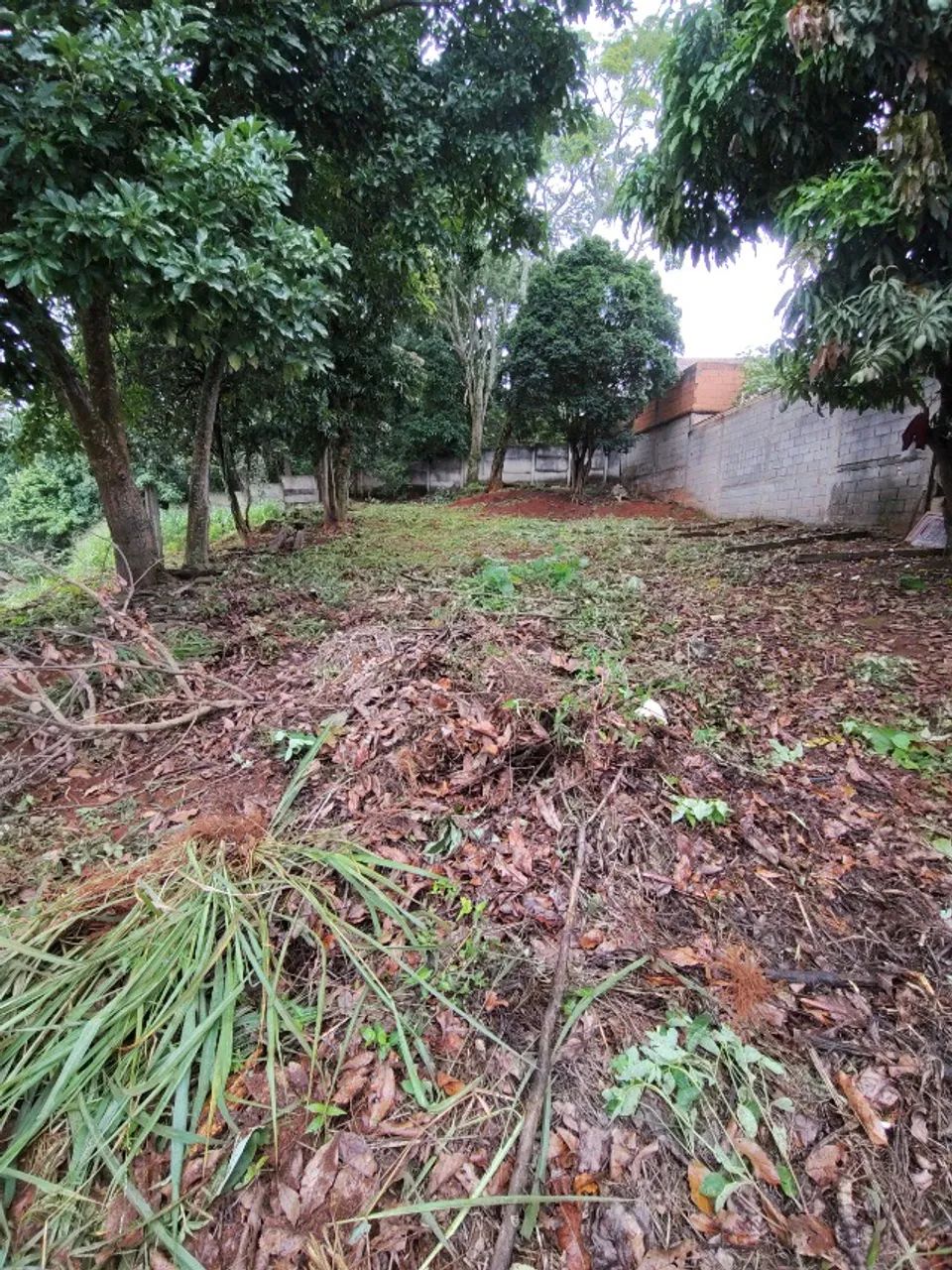 VENDE-SE EXCELENTE LOTE. - Foto 3