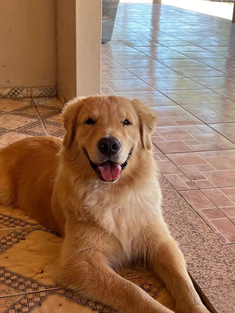 Golden 