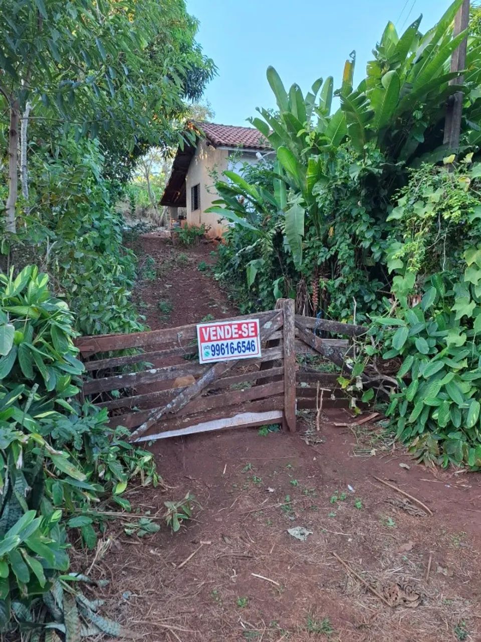 Chácara 5100m² Próximo a Ivaiporã PR, acesso com estrada pavimentada.