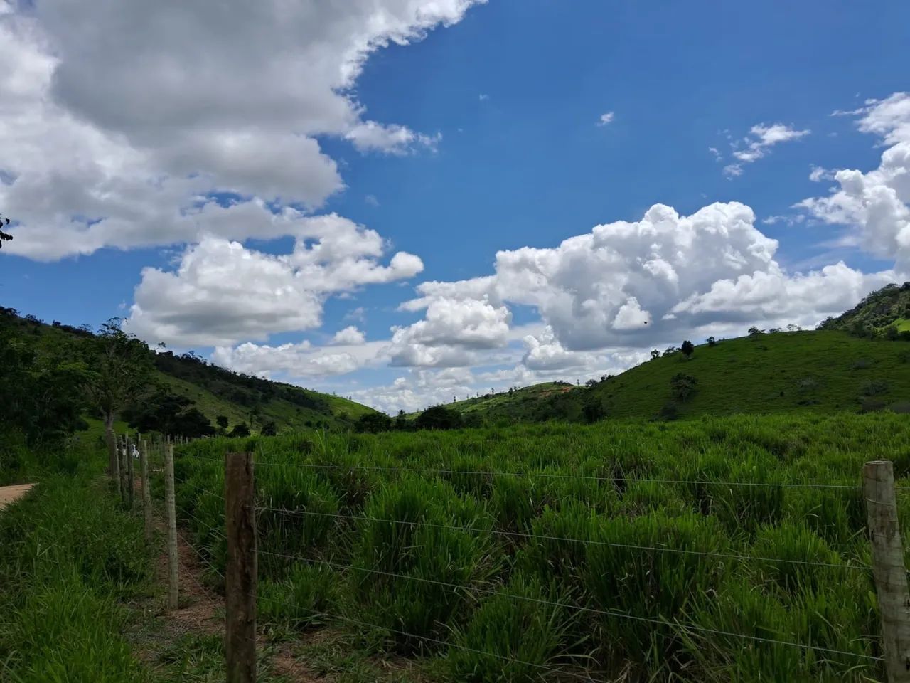Fazenda 13,5 Alqueire Aimorés - Foto 2