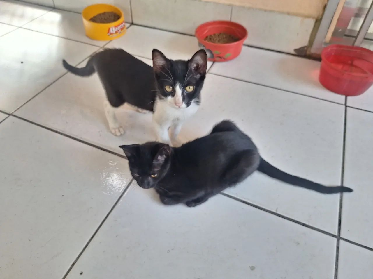 Galera, tô aqui pra ver se alguém se interessa em - Foto 3