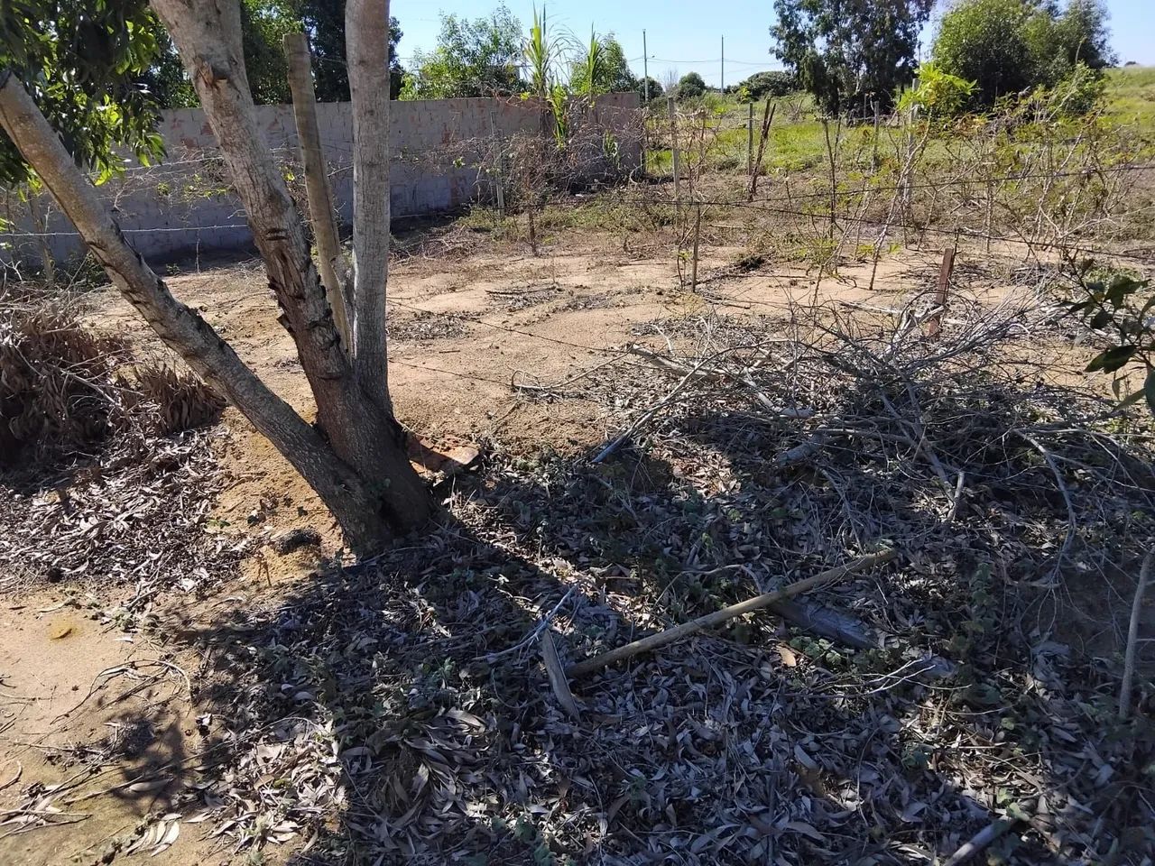 Lote próximo a lagoa do Siri - Foto 2