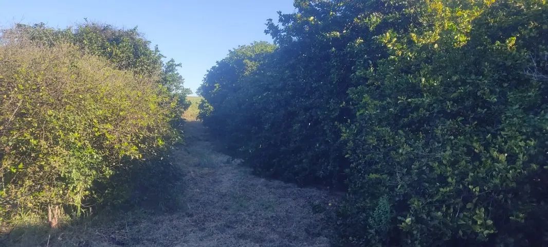 Vila rural em Munhoz De Mello PR - Foto 5