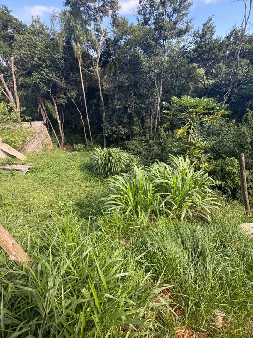 Foto - Mairiporã - Centro