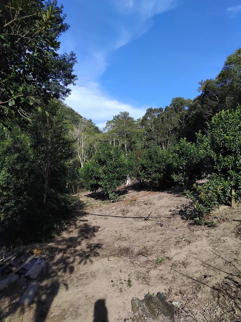 Vendo chácara em Natividade da Serra - Foto 3