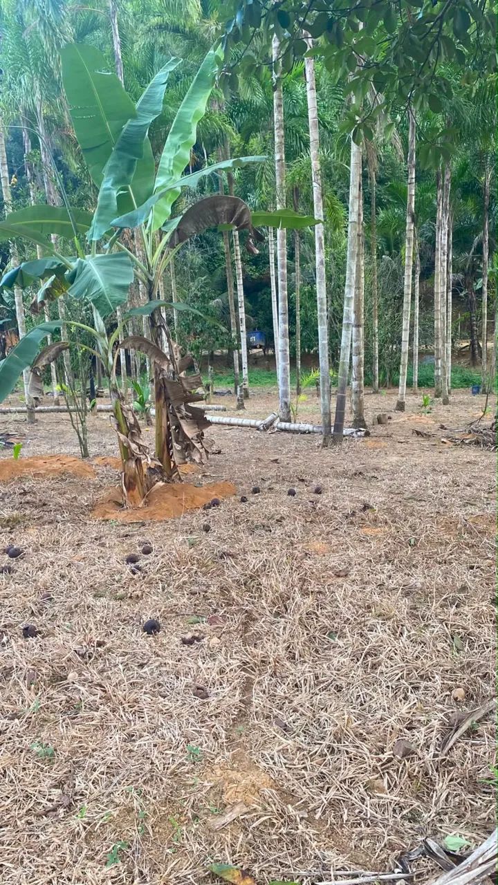 Terreno com acesso ao rio jucu  - Foto 4