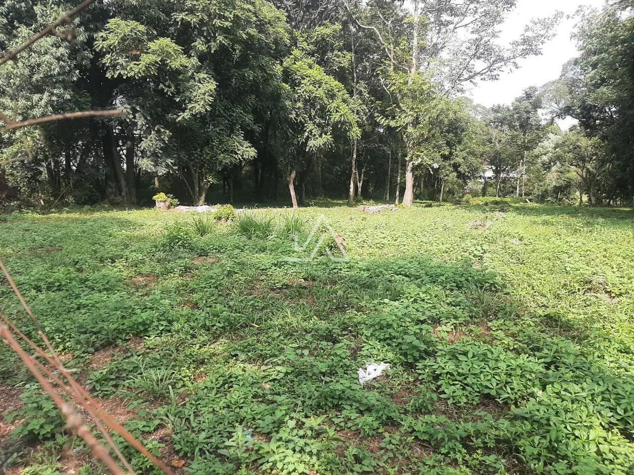 TERRENO NO BOQUEIRÃO - Foto 5