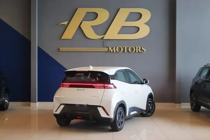 BYD Dolphin Mini (Elétrico) 2027 - Foto 5