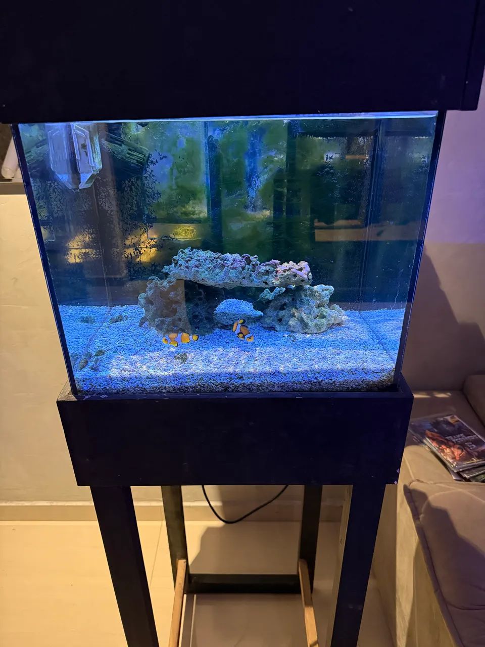 Aquariano marinho nano reef - Foto 4