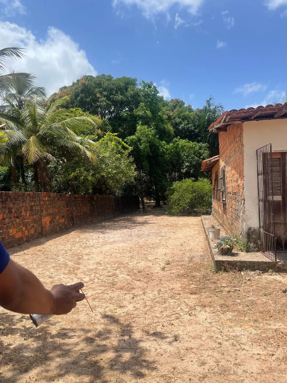 Sítio com Casa Ampla  - Foto 4