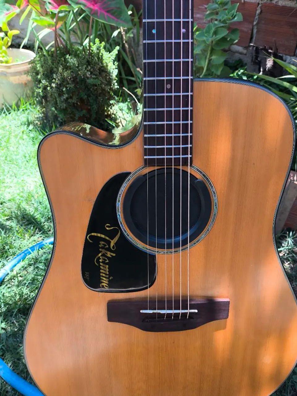 Takamine 