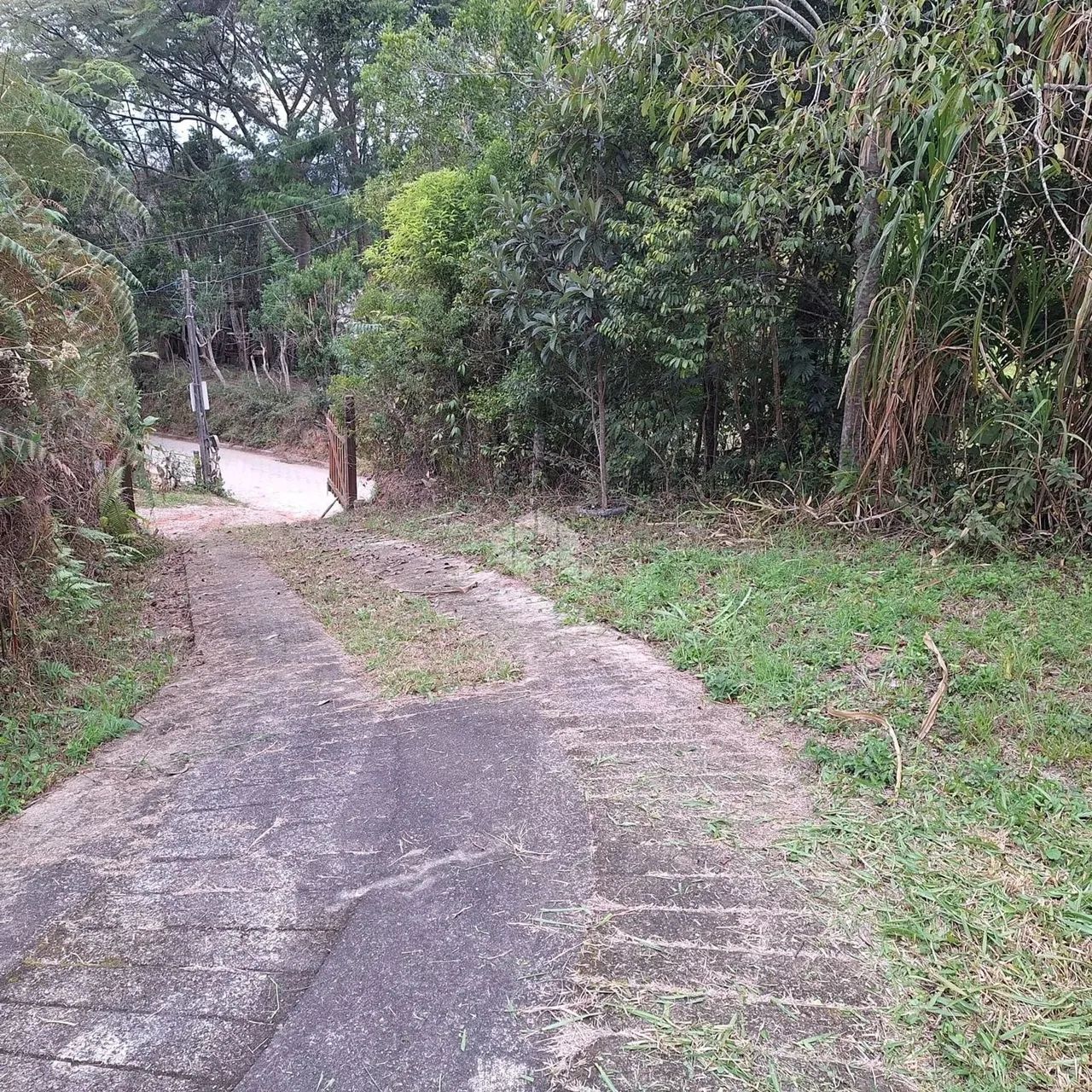 SÍTIO EM PALHOÇA SC, BAIRRO SÃO SEBASTIÃO À VENDA. BAIXOU O PREÇO, 15 MIL REAIS DE DESCONT - Foto 3