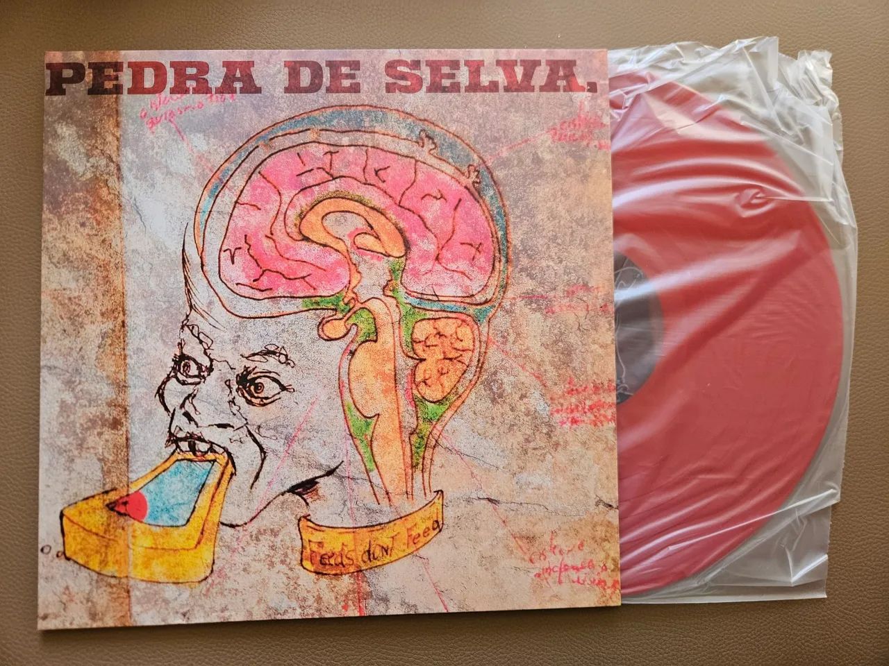 Pedra de Selva - Curumin Disco de Vinil Noize Record Club 