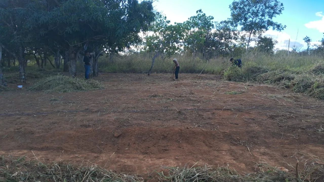 Lote grande 