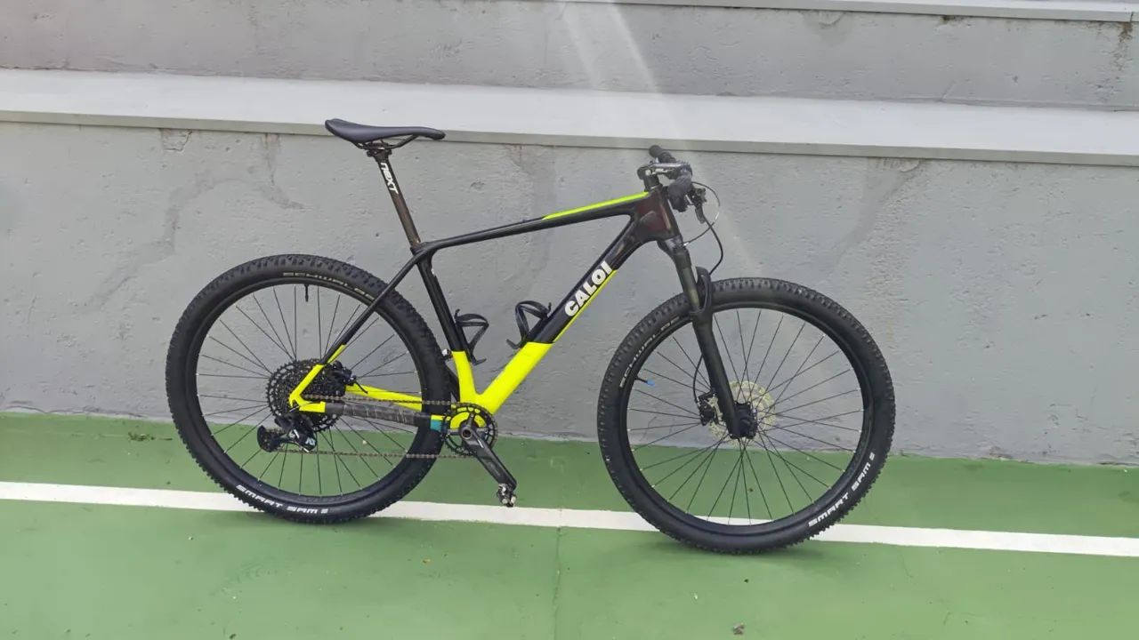 Caloi Elite Carbon Racing