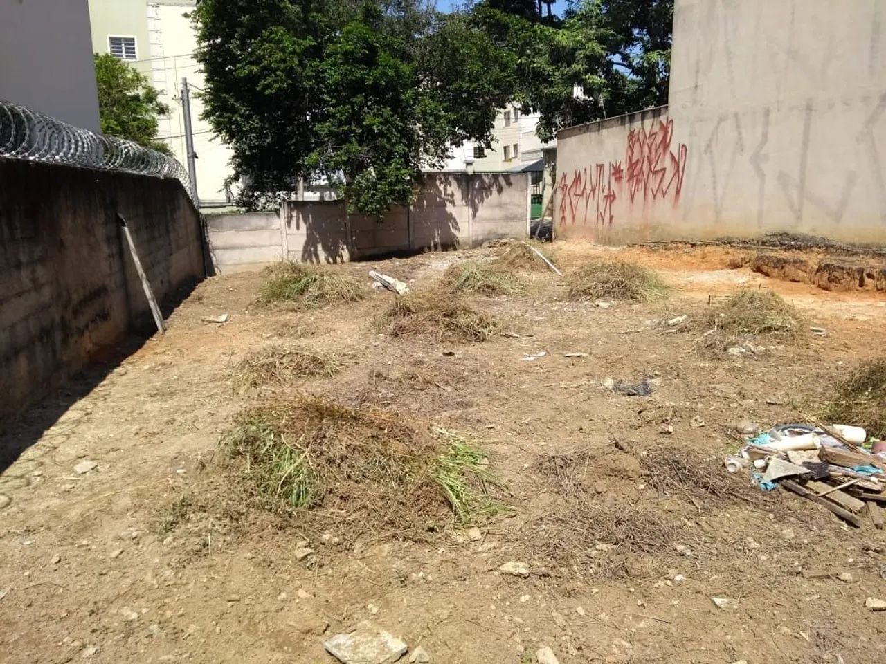 Lote Sapucaias 3 - Foto 3