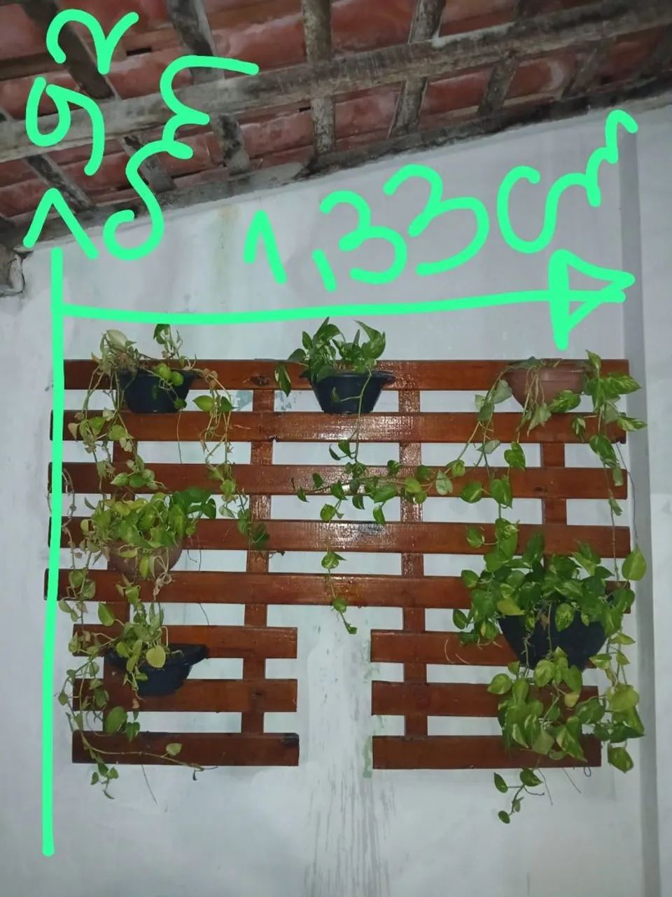 Todas as plantas e grade - Foto 2