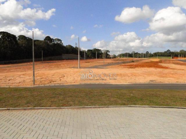 Terreno à venda, 144 m² por r$ 84.270,00 - eucaliptos - fazenda rio grande/pr - Foto 5