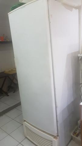 Freezer Vertical Fricon